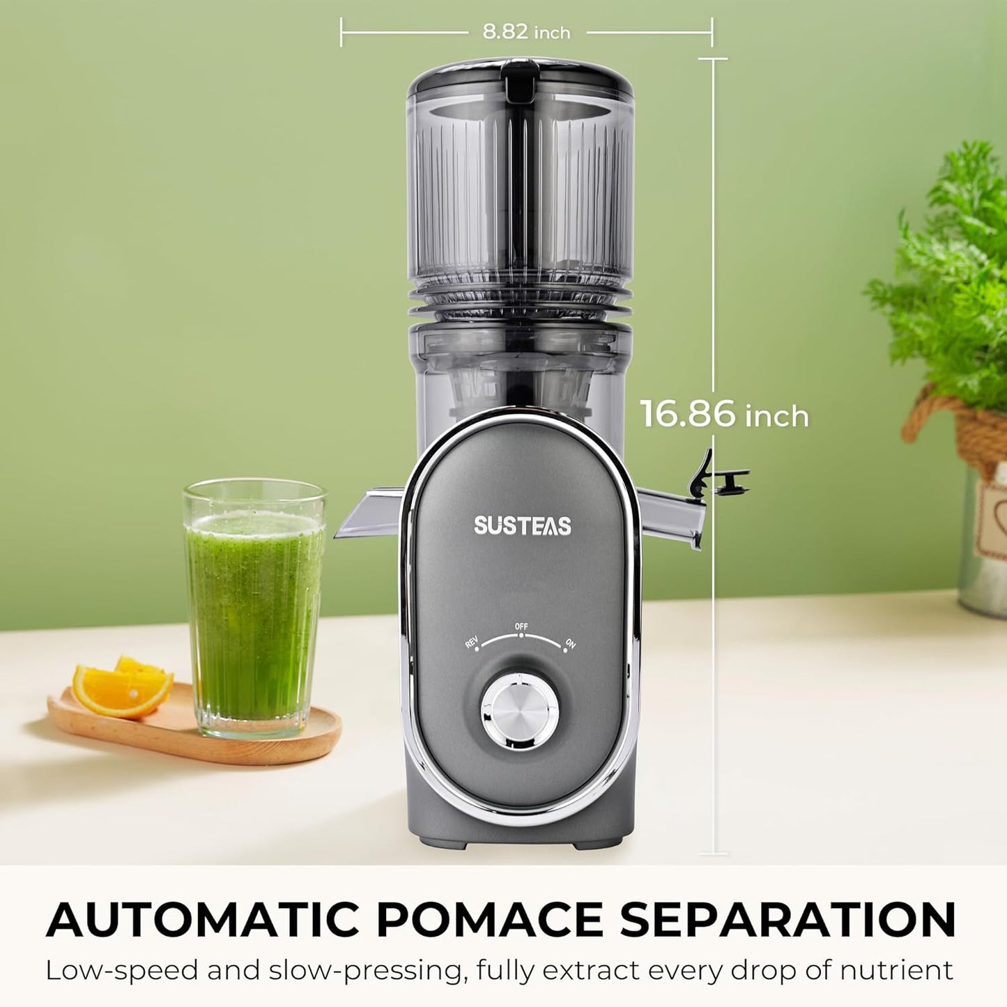 SUSTEAS Cold Press Juicer, 5.3" Feed Chute(50oz Capacity), 300 Watt Slow Masticating Juice Extractor for Whole Fruits and Vegetables, Automatic Feed, Easy to Clean, High Juice Yield,Silver gray