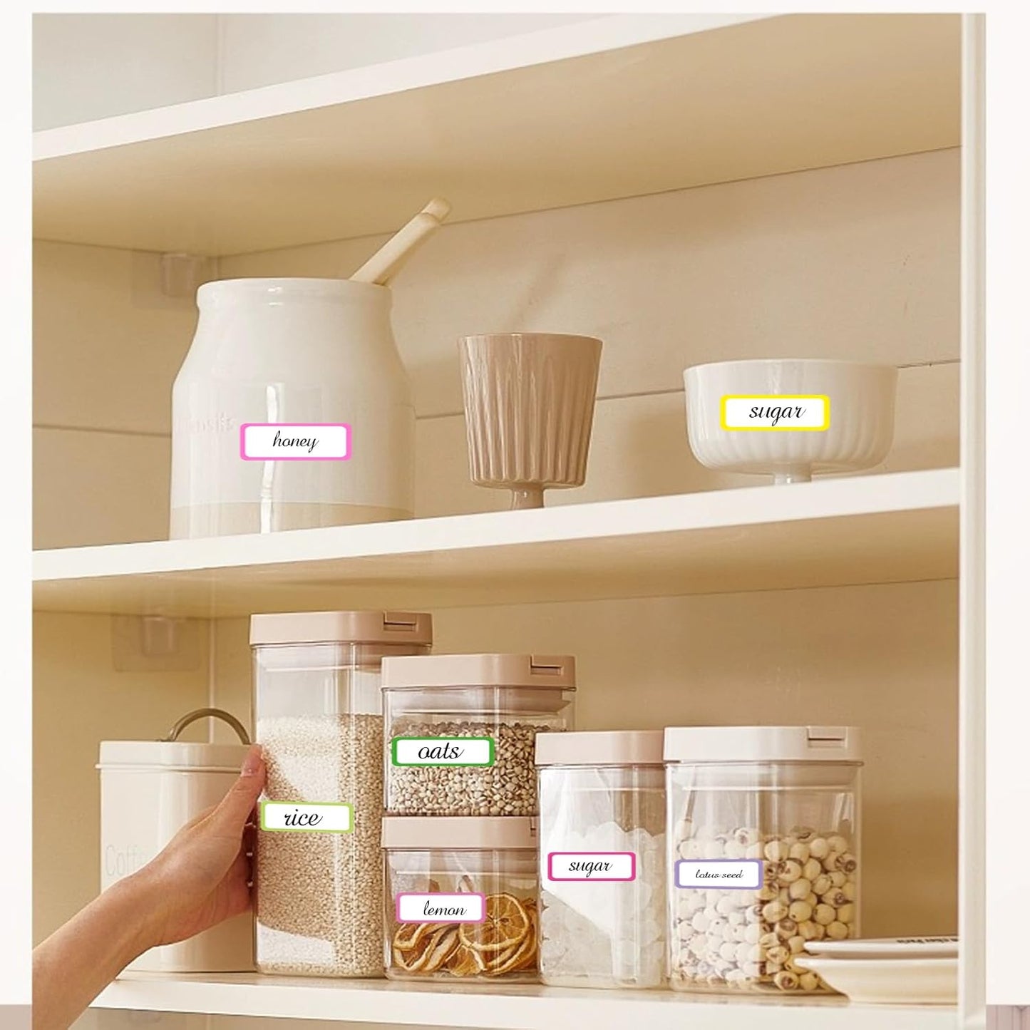 STARLIBOO Removable Labels, Removable Colored Labels Stickers,1x3 Inch Rectangular Stickers, Water/Oil/Tear Resistant for Food Containers/Classroom/Storage (8 Colors, 240 Labels)