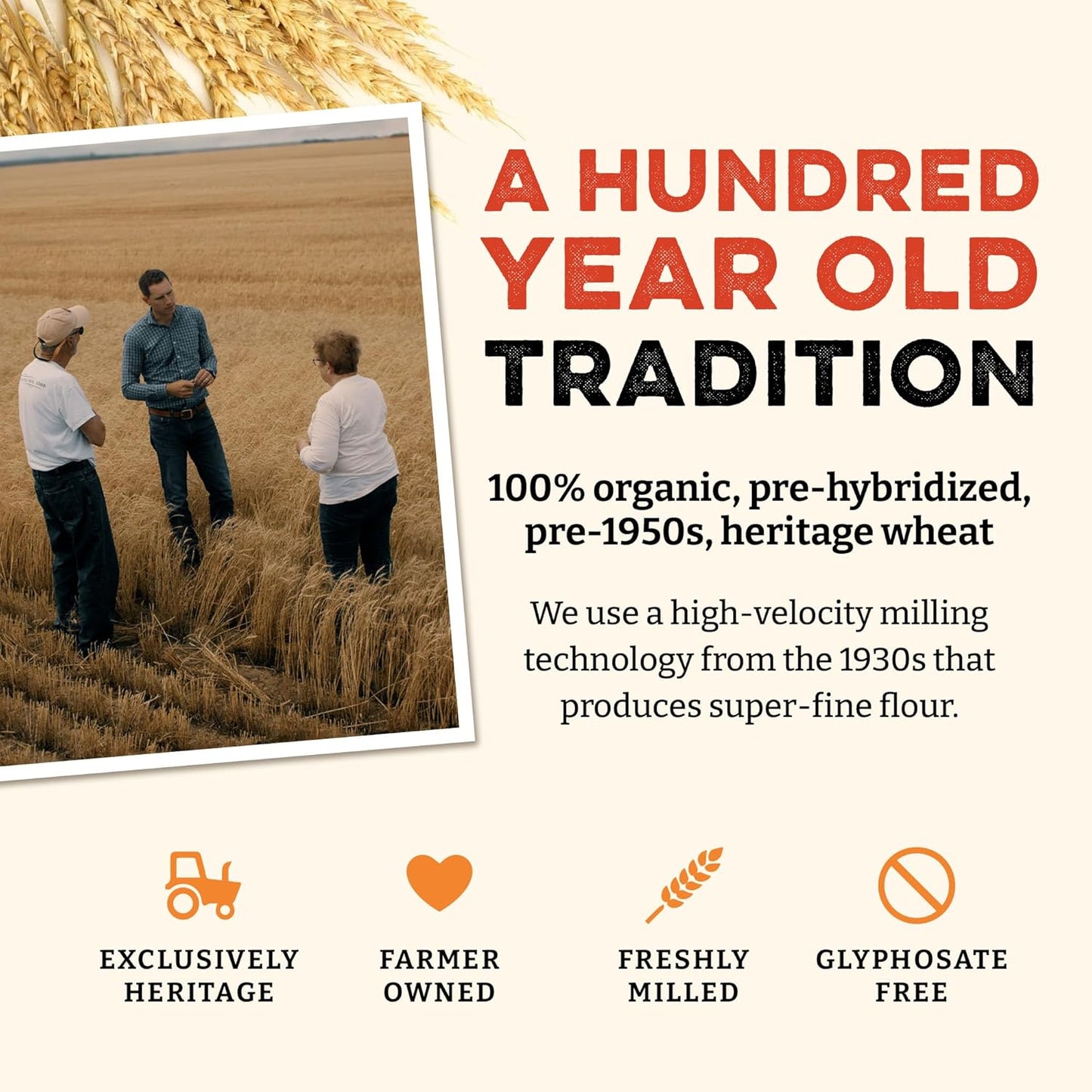 Sunrise Flour Mill Heritage Organic Whole Wheat Flour - 5 lbs | Milled from red hard wheat within 10 Days | Easier to Digest with Less Bloating | No Bleaching | Organic whole wheat bread flour