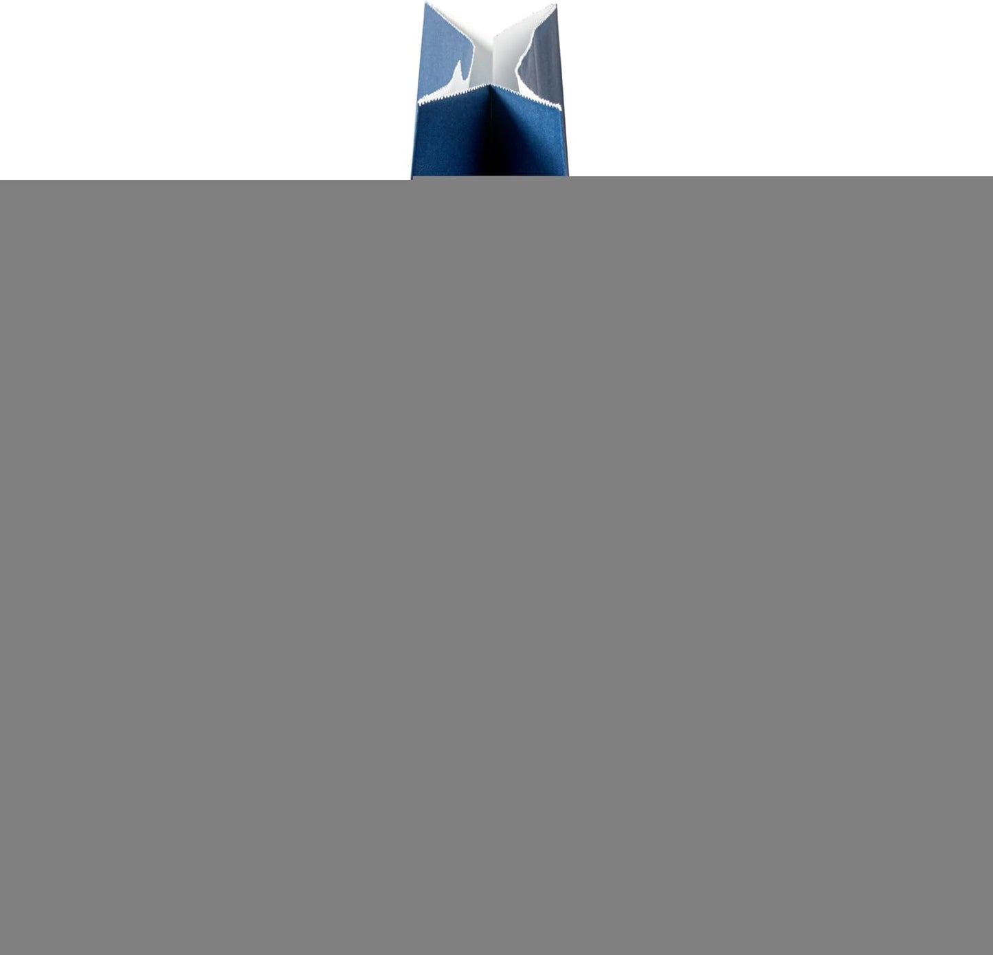 Bag Tek 12 LB Disposable Lunch Bags, 100 Sturdy Take Out Bags - Flat Bottom, Great For Restaurants, Cafes, And Bakeries, Frenchie Paper Popcorn Bags, Versatile, For Grocery - Restaurantware