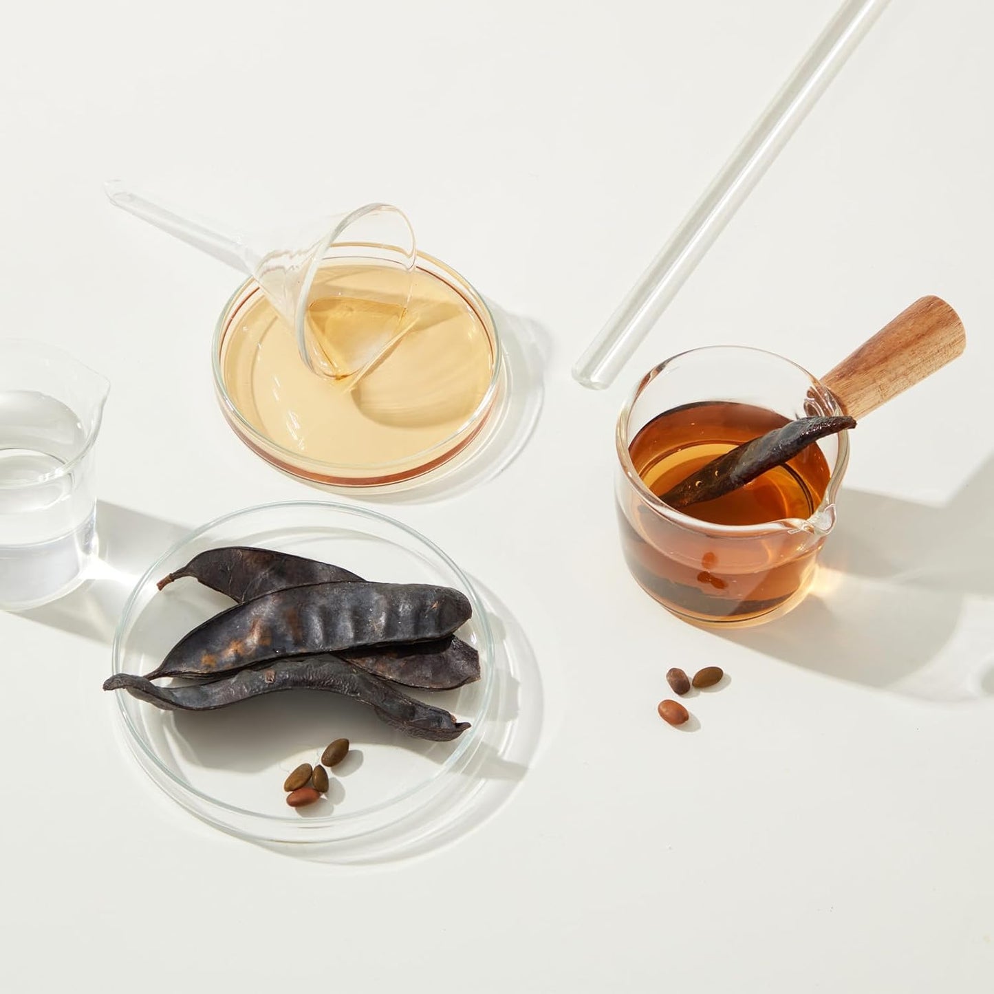 PATIKIL 3.5 Inch Clear Plastic Funnel, 4 Pcs Wide Mouth Multipurpose Transfer Funnel with Long Spout for Filling Water Bottle Liquid Lab Spices Powder Oil