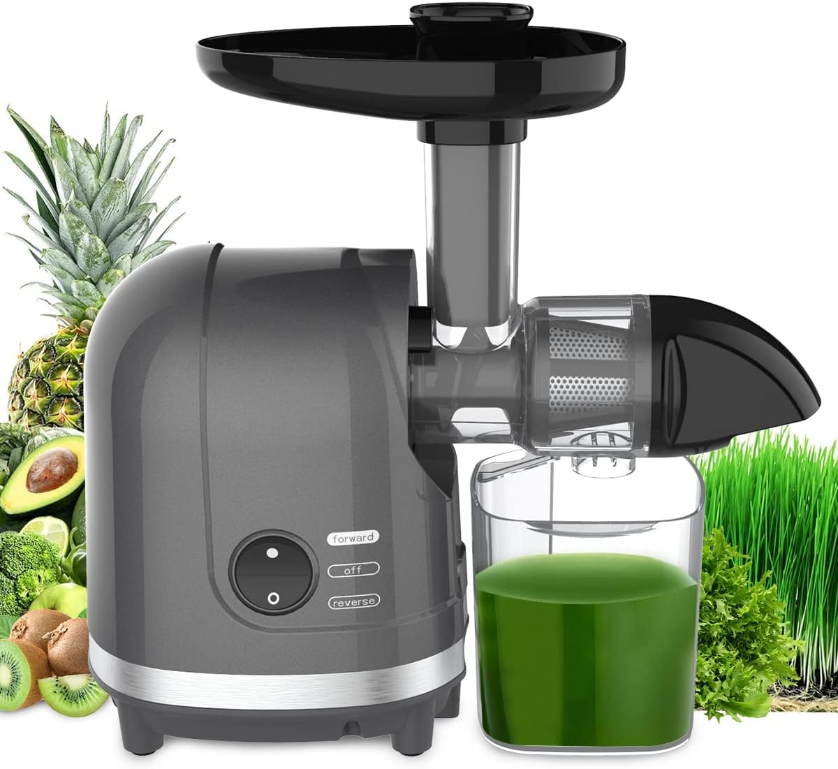 Slow Juicer for Celery Ginger Beet Carrot, Masticating Cold Press Juicer 200W Motor, Pulp Separated, East to Clean Dishwasher Safe, BPA Free, Juicer Machine Vegetable & Fruit