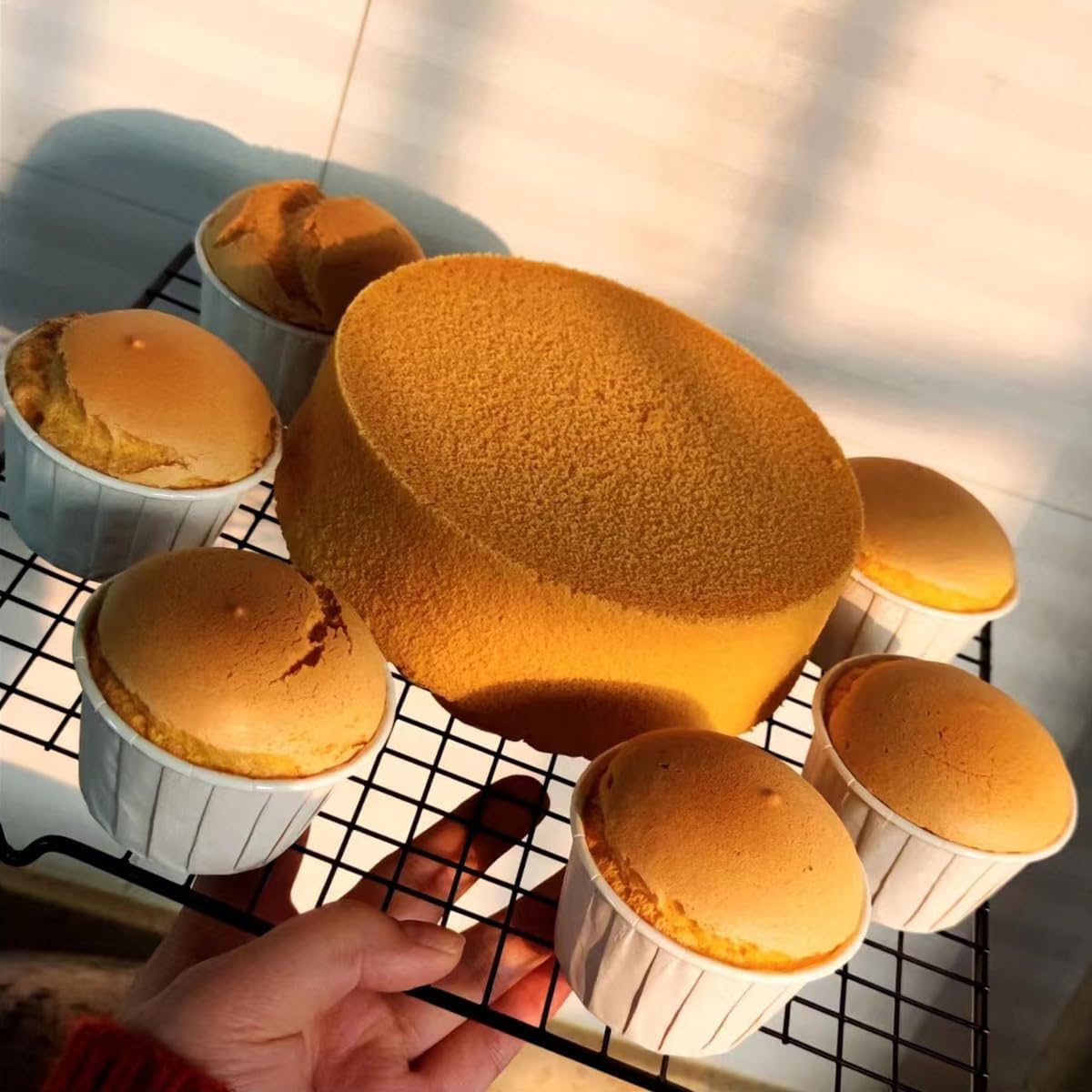 Multi-Functional Cooling Racks - Baking Cooling Racks - Cookie Cooling Racks for Kitchen, Grill Cooling Rack for, Baking Meat, Great for Cooling Biscuits/Bread/Paper Cups Cakes (1PCS 11''x9.8'')