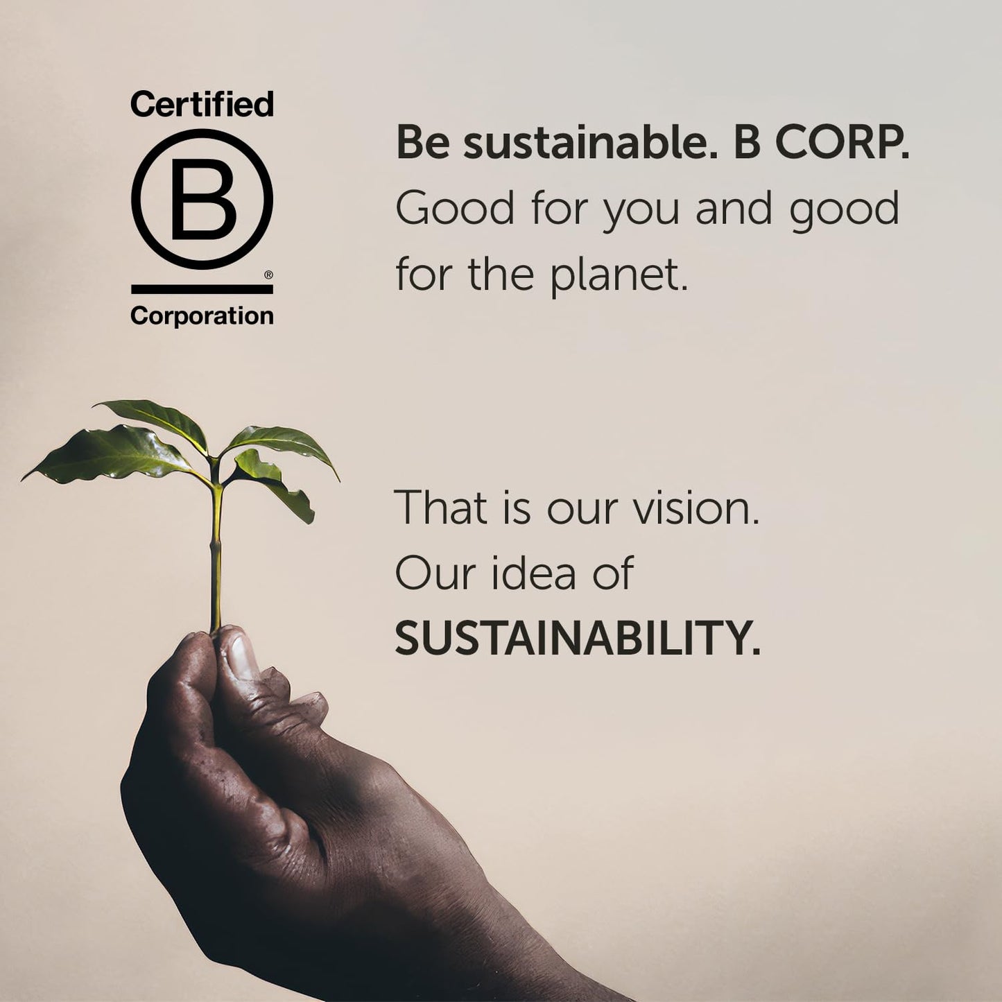 illy Ready To Drink Cold Brew Coffee - 100% Arabica, Smooth & Refreshing Taste - Convenient, Easy To Carry Cans - 8.5 oz., 12 Pack