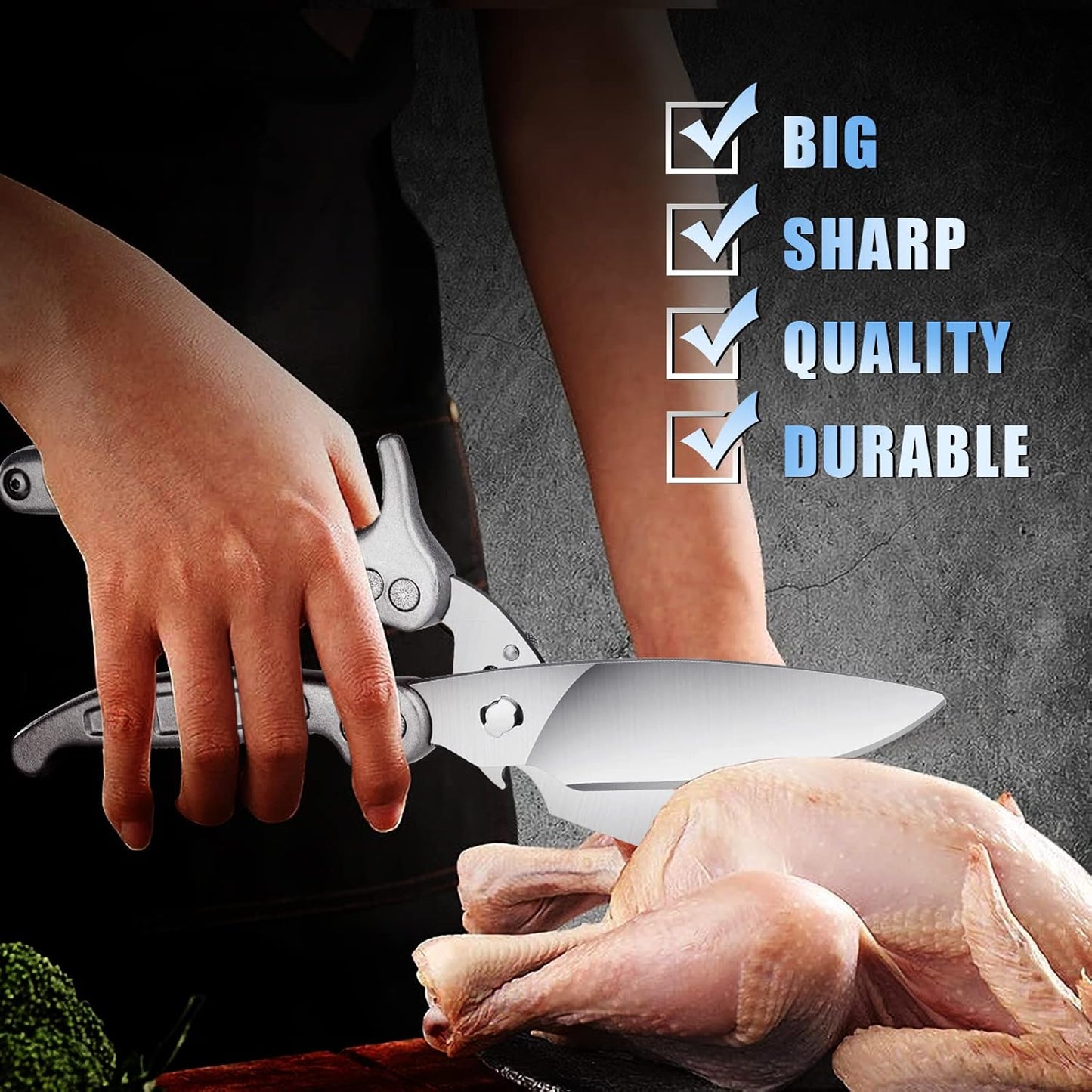 DRAGON RIOT Heavy Duty Poultry Shears - A Must Have Kitchen Shears for Chicken and Meat Cutting - Dishwasher Safe and Stainless Food Kitchen Scissors for Thanksgiving(Silver)