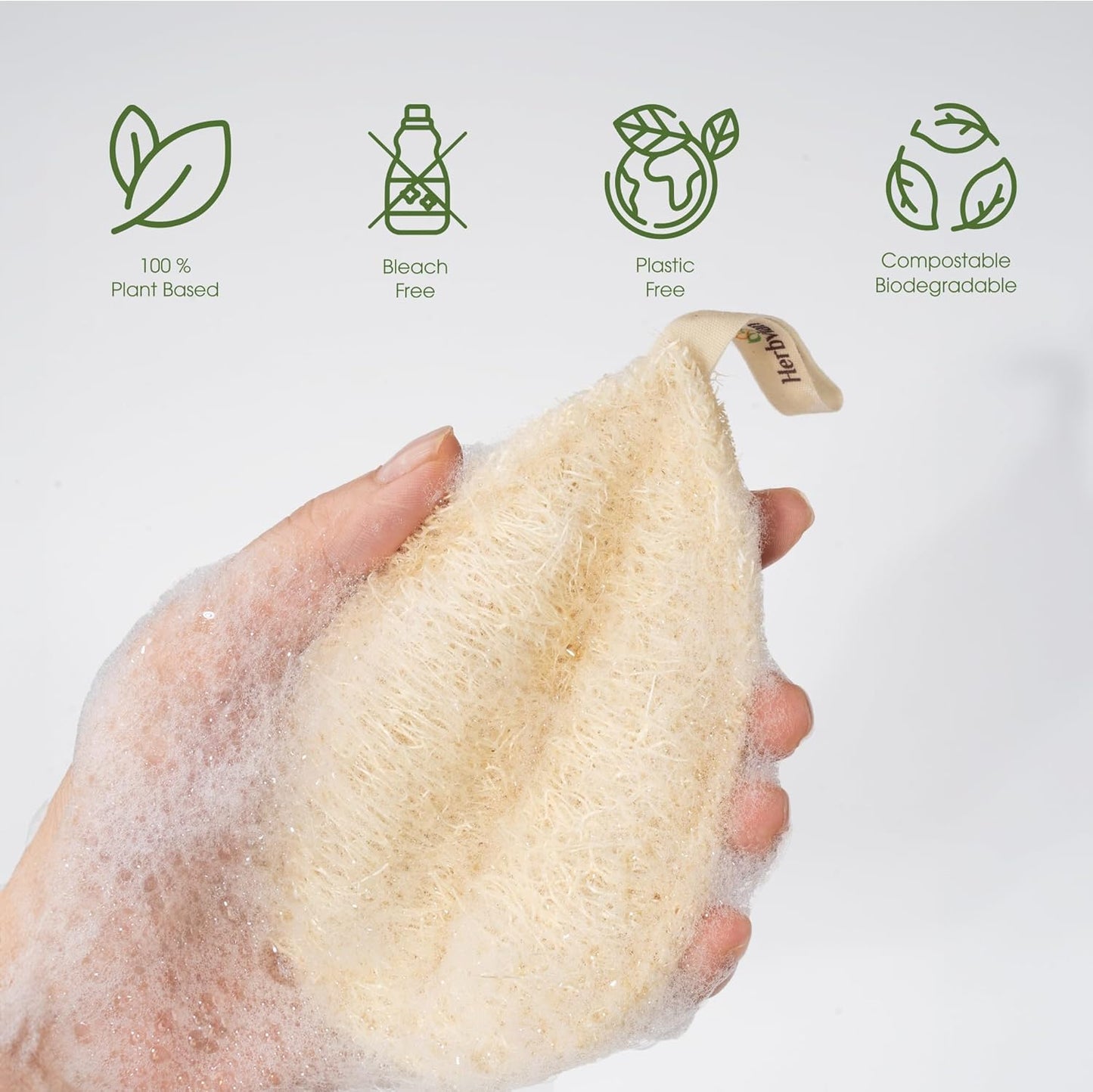 Natural Loofah Kitchen Scrubbing Pads, Vietnamese 100% Plant-Based Luffa, Multi-Purpose Dish Washing Sponges (Pack 4)