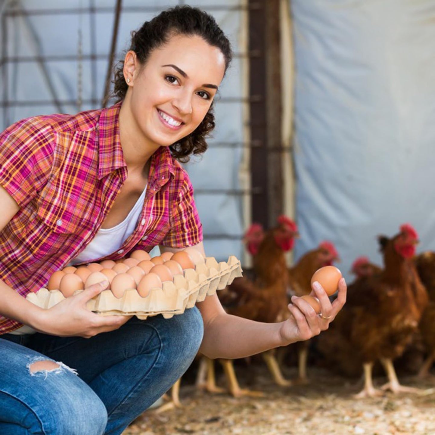 20 Flats 30-Cell Egg Crate?Holds 30 Eggs?, Cardboard Egg Cartons, Sturdy and Stackable Egg Flats, Perfect Egg Crates for Fresh Eggs, Chicken Farm, by IHDYPPEW