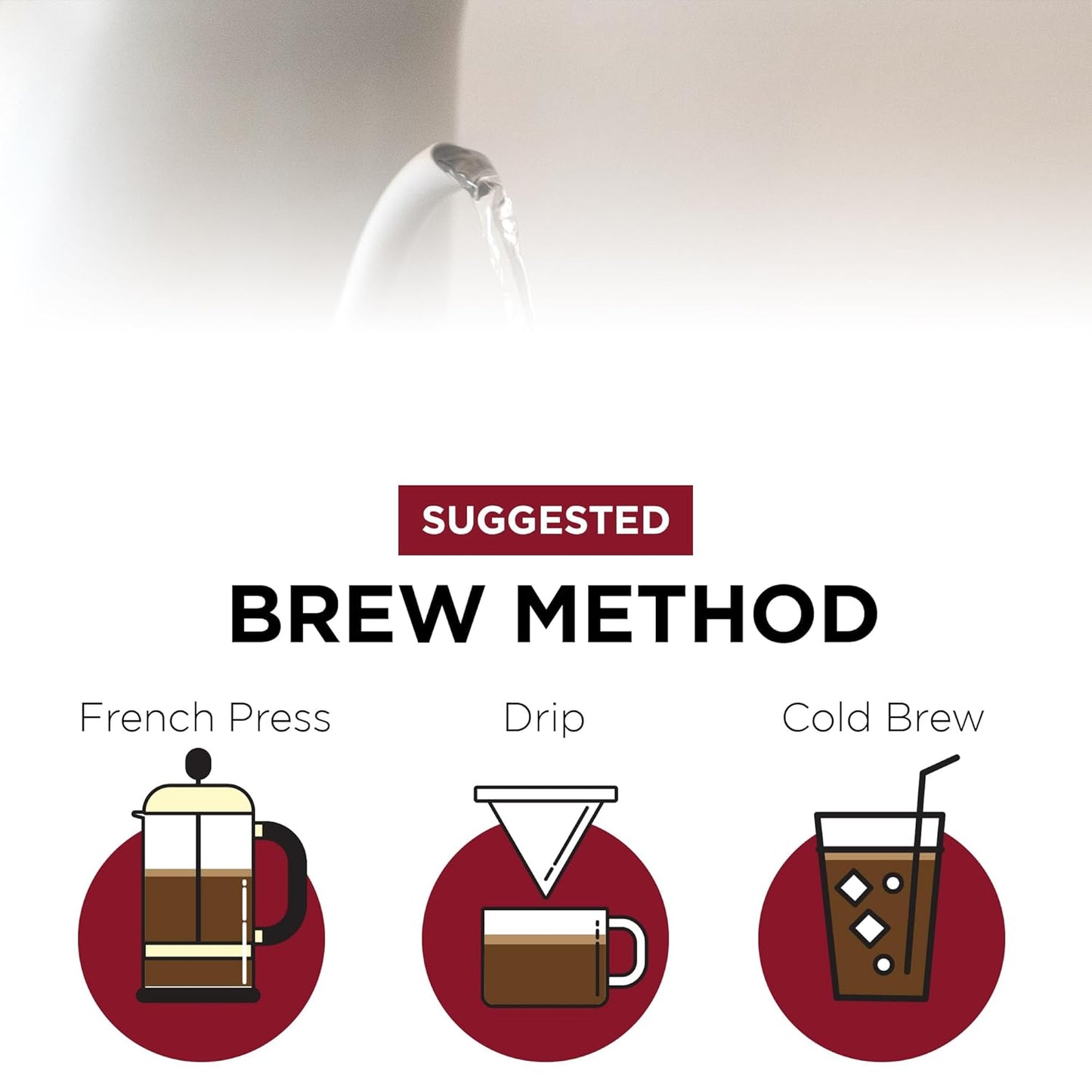 Fonte Coffee Roaster - French Press Coffee - Medium-Dark Fresh Roast - Roasted in Seattle - Single Origin - Herbal, Nutty, Dark Chocolate - 12 oz - Portofino