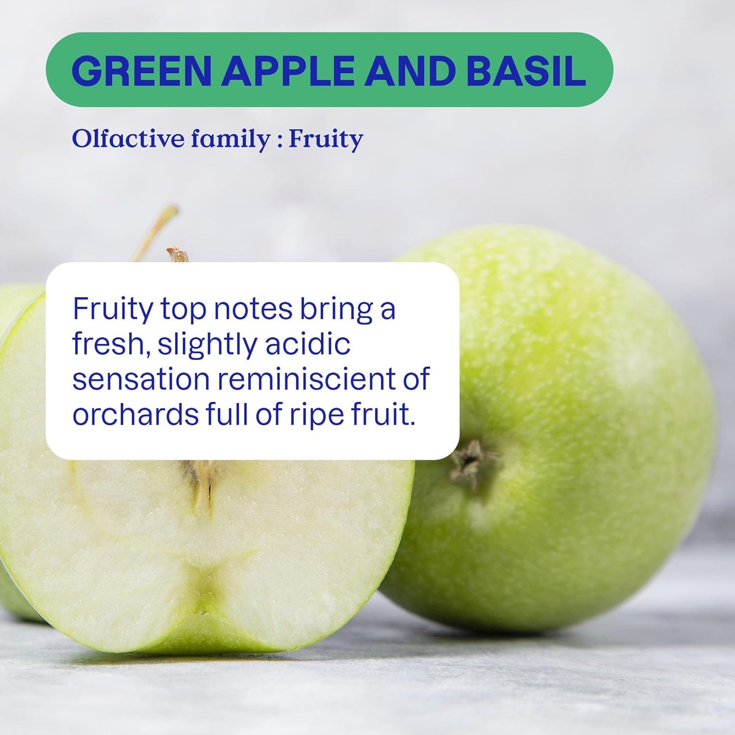 ATTITUDE Dish Soap Refill, EWG Verified, Plant-Based & Vegan Dishwashing Liquid, Naturally Derived, Green Apple & Basil Scent, 67.6 Fl Oz