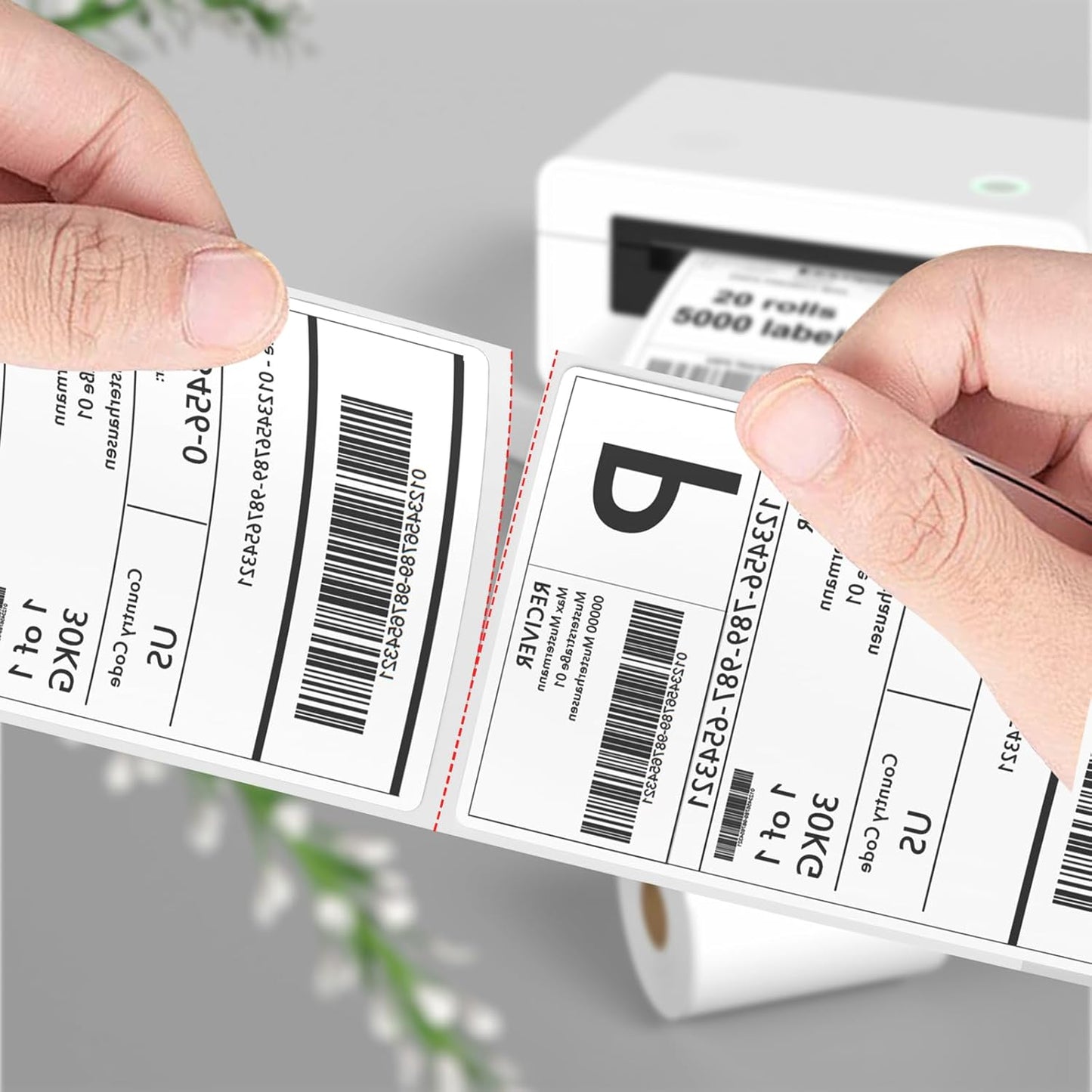 FungLam 4"X6" Thermal Shipping Labels, 5000 Labels, 20 Rolls, Compatible with Rollo, Munbyn, iDPRT Thermal Printers