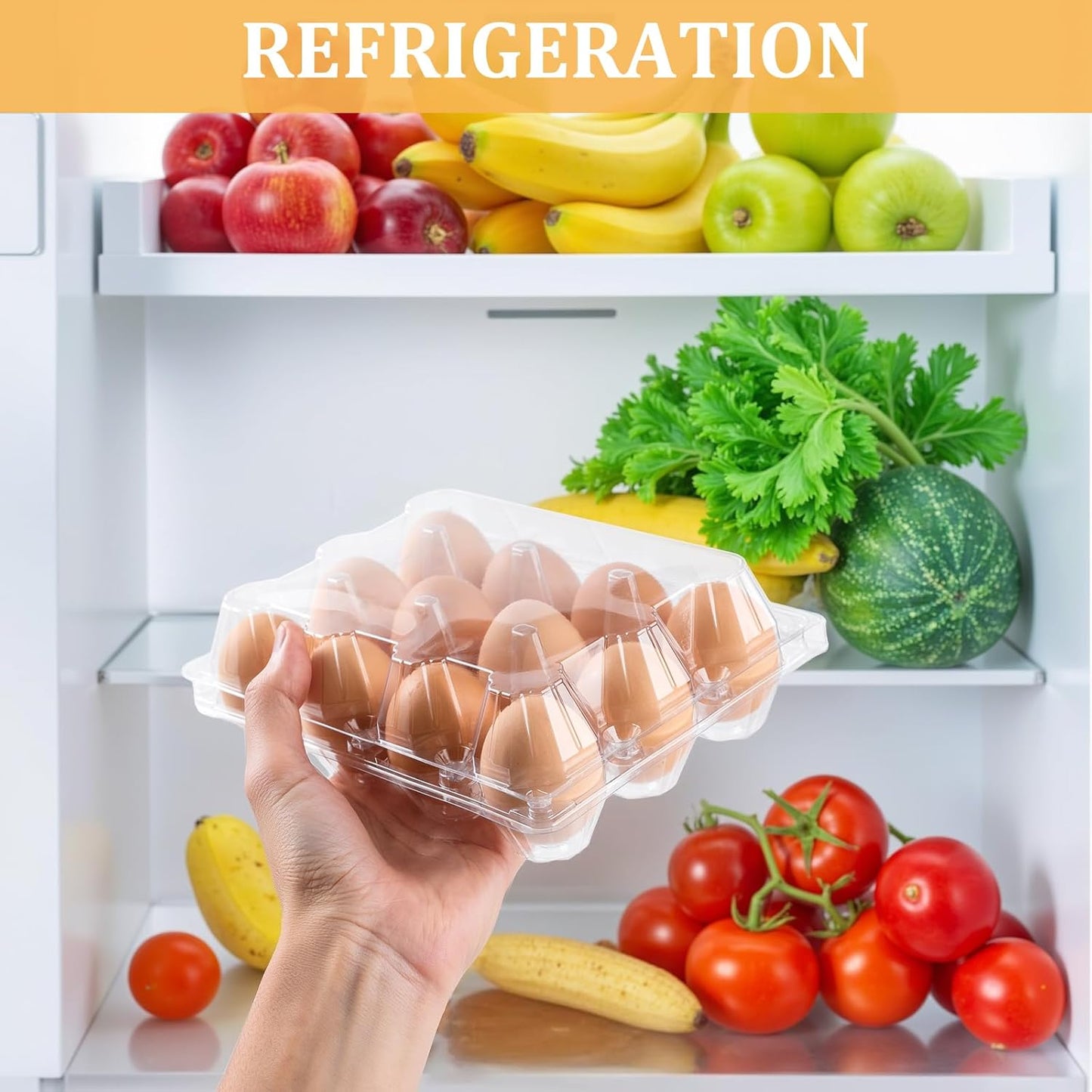 200PCS Clear Plastic Egg Cartons 6 Count,Half Dozen Egg Cartons Cheap Bulk for Chicken Eggs,Reusable Egg Holder for Family,Pasture,Farm Markets Display - Medium Egg Containers 2x3 Grids