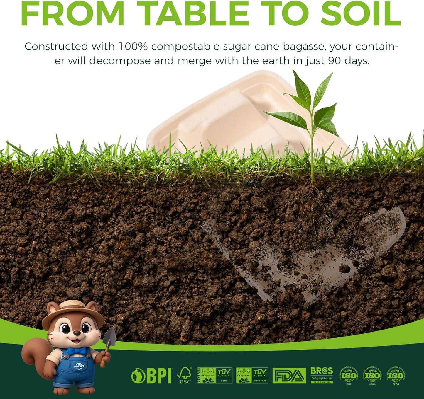 25-Pack 100% Compostable Biodegradable Paper Taco Holders, Eco-Friendly Disposable Paper Taco Tray for Taco Tuesday, Lazy Susan Taco Bar (25-pack)