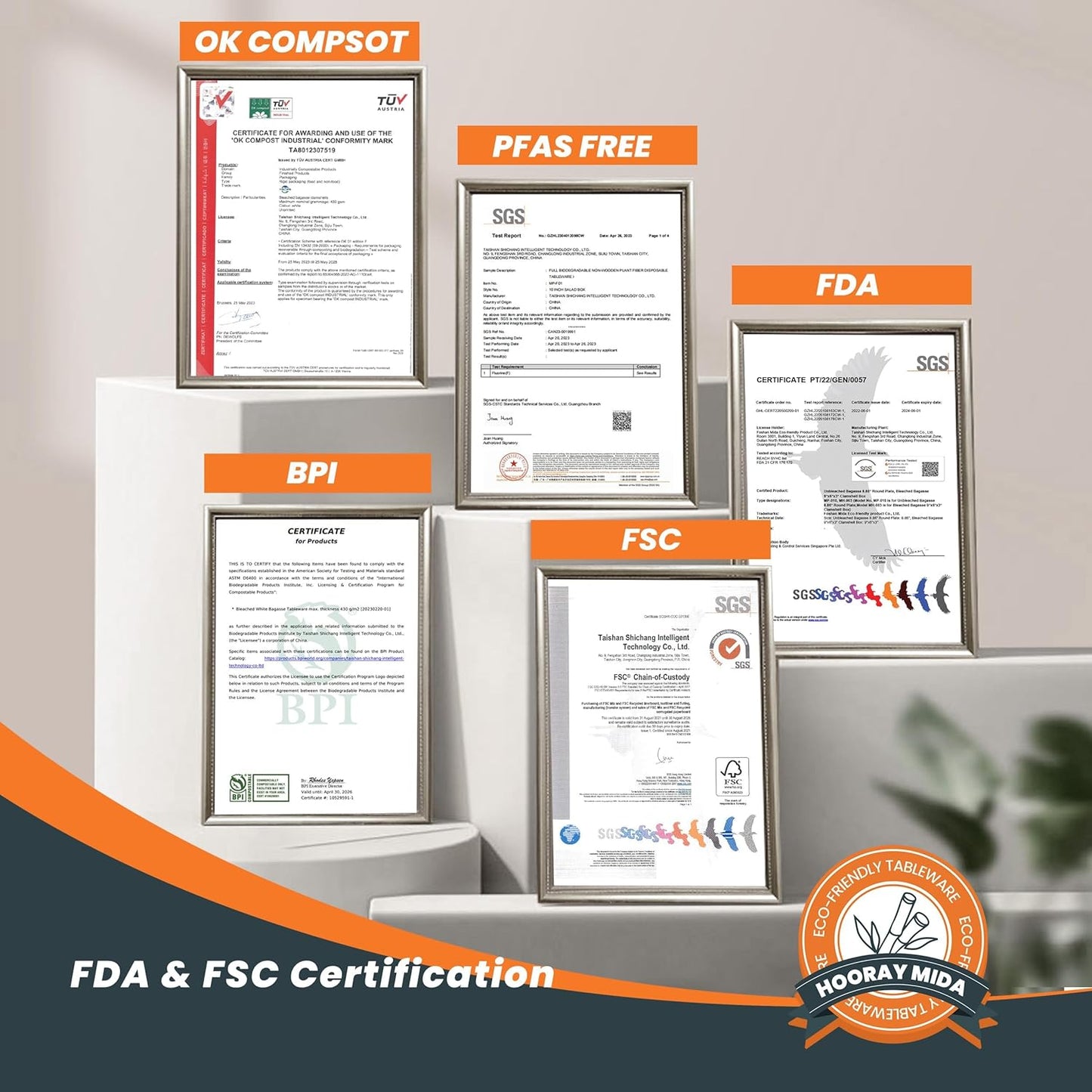 100% Compostable Plates - 125-Count Heavy Duty, Biodegradable Bagasse Plates - Eco Friendly and Sustainable (Natural, 10 inch)