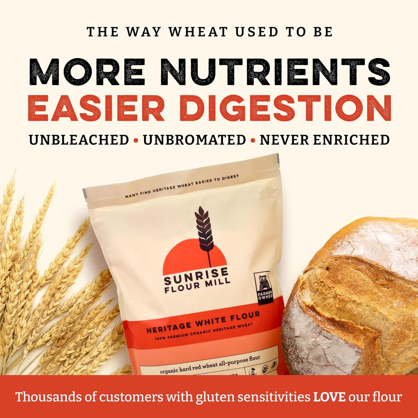 Sunrise Flour Mill Heritage Organic White Flour | USDA Organic All Purpose Flour Unbleached - Non-GMO, Kosher, Glyphosate Free, High Protein for Baking, Unbromated White Wheat (80 Ounce (Pack of 1))