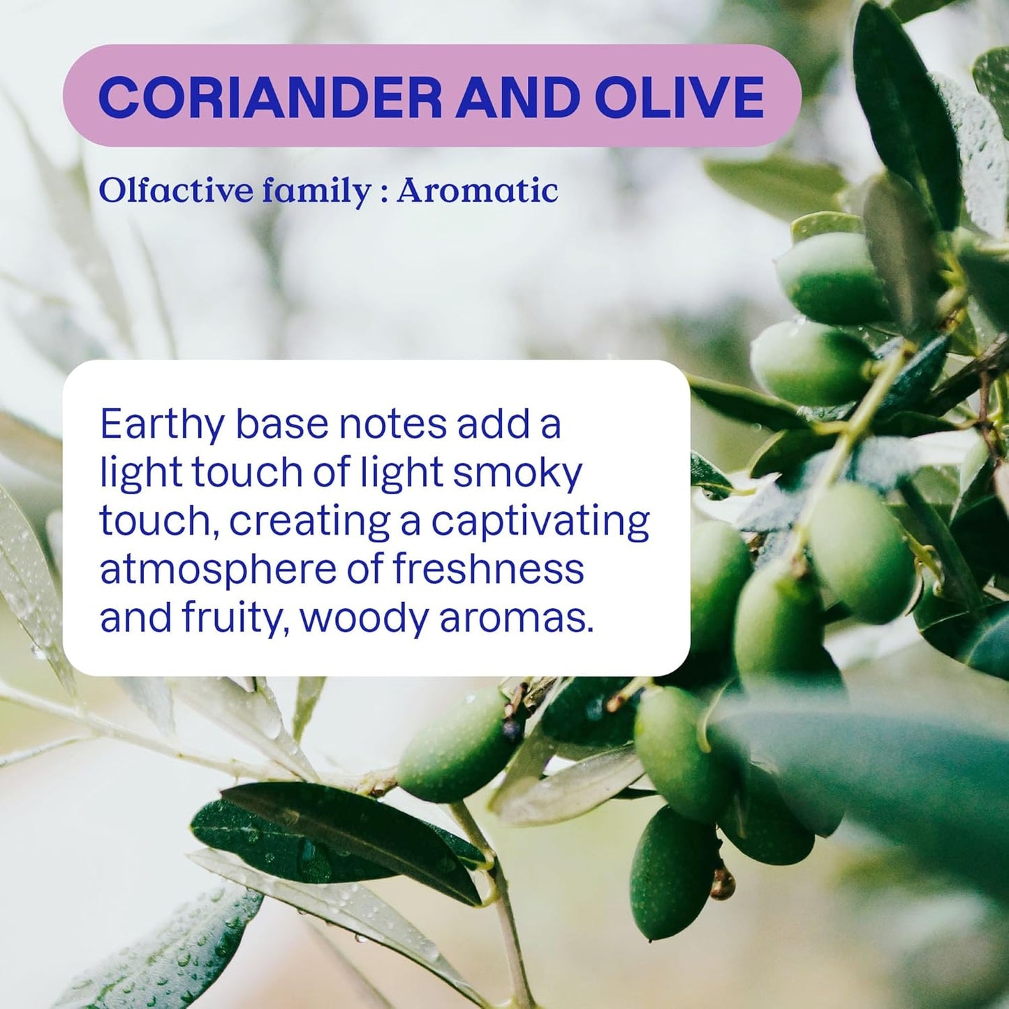 ATTITUDE Dish Soap Refill, EWG Verified, Plant-Based & Vegan Dishwashing Liquid, Naturally Derived, Olive & Coriander Scent, 135.3 Fl Oz