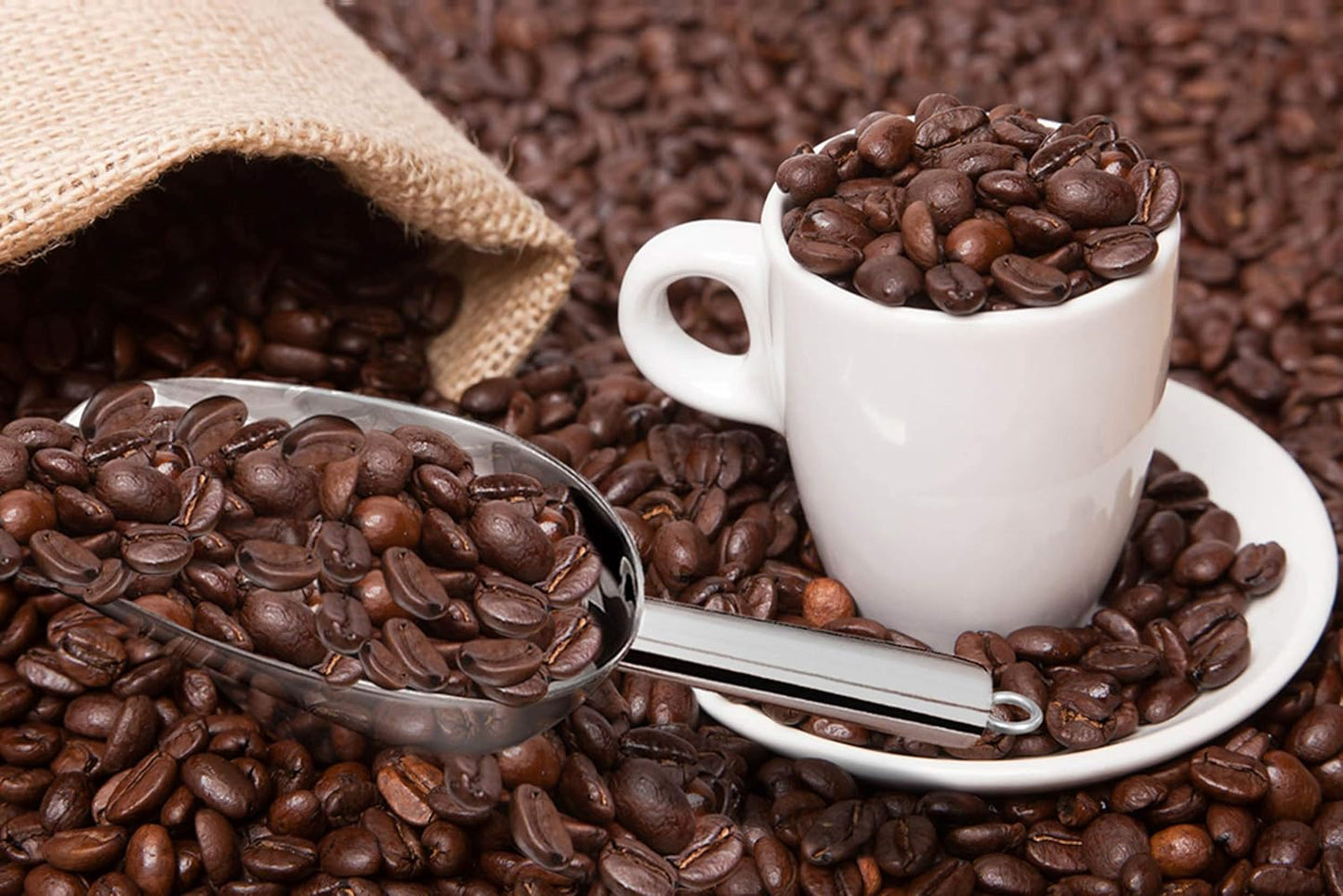 P&P CHEF Food Ice Scoop, Stainless Steel Scoop, Metal Candy Popcorn Flour Utility Scooper for Wedding Party Bar Kitchen Bath, Heavy Duty & Dishwasher Safe, (8oz, 1Pc)