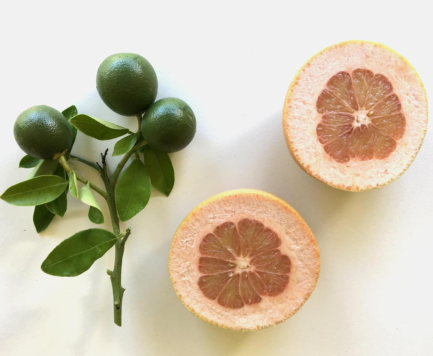 Murchison-Hume Natural Dish Soap – Plant-Based, Eco-Friendly Dishwashing Liquid – Tough on Grease, Non-Toxic & Safe for Sensitive Skin – 17oz (Australian White Grapefruit)