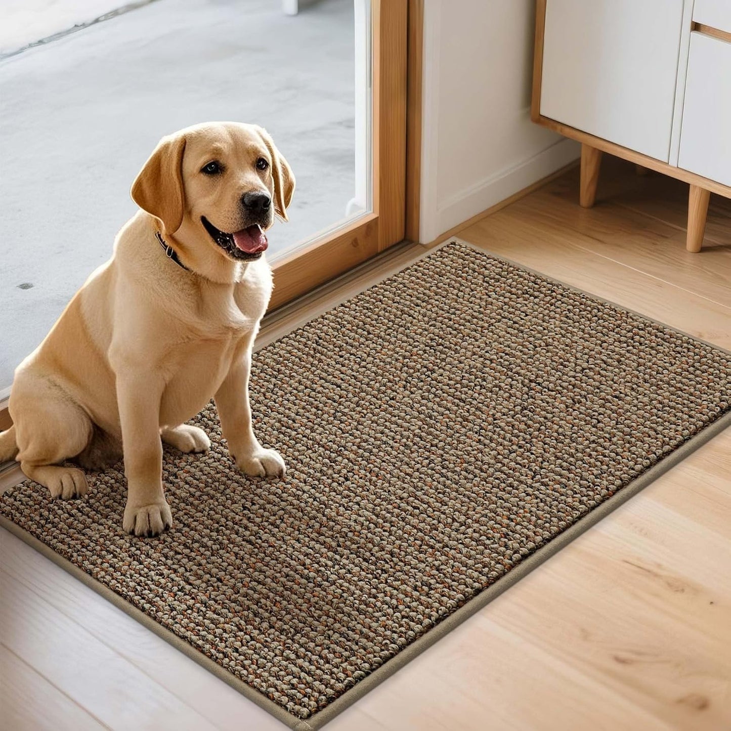 JSEI Dirt Trapper Door Mat 24"x36" Non-Slip Washable Entrance Mat, Dog Doormats, Absorbent & Fade-Resistant Floor Mats, Low Profile Welcome Mats for Entryway, Front Door, and Inside Entrance, Beige